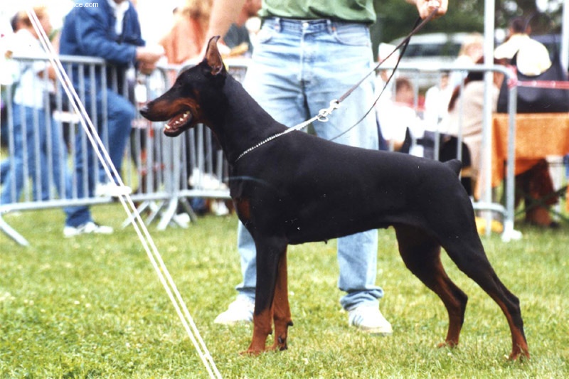 Mia de Fassano