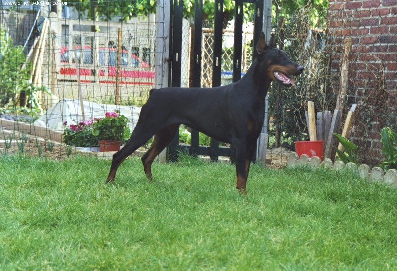 Reina de Fassano