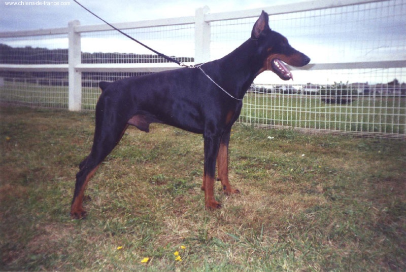 Paco de Fassano